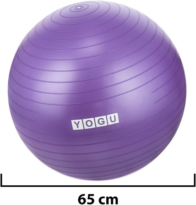 Stability Exercise Ball 65Cm Yoga Balance Ball Birthing Ball with Air Pump Anti-Slip & Anti-Burst Supports 2000Lbs Great for Yoga Pilates Abdominal Workout Fitness Ball and Office Chair